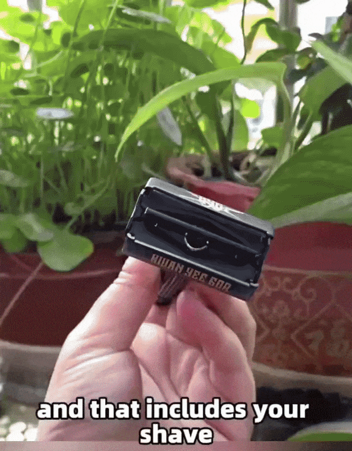 Full Brass Adjustable Safety Razor for Men | Butterfly Open & Long Handle | with 10 German Solingen Blades KWAN YEE GOR